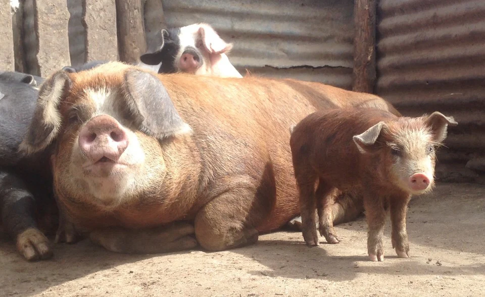 Welcome to Our Store